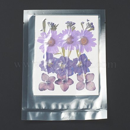Прессованные сушеные цветы X-DIY-H153-A07-1