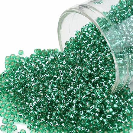 Toho perles de rocaille rondes X-SEED-TR15-0024B-1