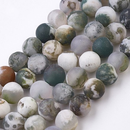 Natural Tree Agate Bead Strands G-J376-11F-8mm-1