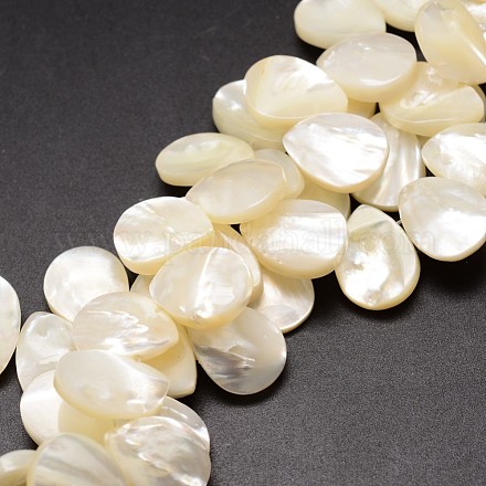 Chapelets de perles de coquille de trochid / trochus coquille SSHEL-K009-06-1