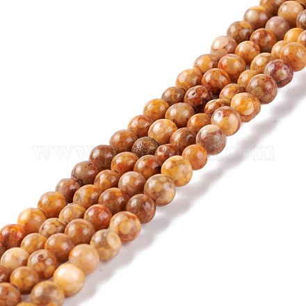 Chapelets de perles maifanite/maifan naturel pierre  G-P451-01C-C-1