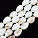 Shell normal de perles blanches de brins PBB263Y-1-6