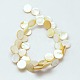 Natural Yellow Shell Beads Strands BSHE-I001-05B-2