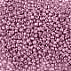8/0 Glass Seed Beads SEED-A017-3mm-1110-2