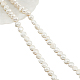 Nbeads 2 brins environ 106 perles de perles d'eau douce naturelles PEAR-NB0001-79-1