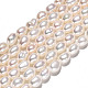 Natural Cultured Freshwater Pearl Beads Strands PEAR-S017-002-3