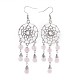 Natural Mixed Stone Dangle Earrings EJEW-JE02995-M-3