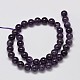 Natural Amethyst Round Bead Strands G-M304-18-10mm-2