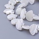 Chapelets de perles de coquillage SSHEL-E571-26-1