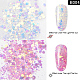 Glitter scintillante per unghie MRMJ-T009-005D-2