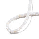 Eau douce naturelle de coquillage perles brins SHEL-N003-33-B01-4