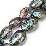 Perles de coquille d'ormeau naturel/coquille de paua, Ovale Plat, colorées, 24~32x14~19x4mm, Environ 15~16 pcs/chapelet, 15.5 pouce