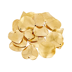 24 pieza de 6 colgantes de acero inoxidable 304 de estilo&nbsp;STAS-FH0001-75