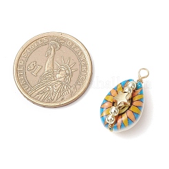 Bedruckte natürliche Kauri-Muschel&nbsp;PALLOY-JF03954-01