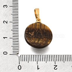 Pendentifs en œil de tigre naturel&nbsp;G-T151-01H