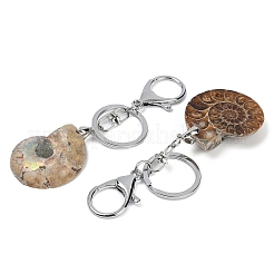 Porte-clés en alliage de fossile d'escargot naturel&nbsp;KEYC-Q001-01A