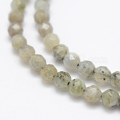 Chapelets de perles en labradorite naturelle &nbsp;G-P322-28-4mm