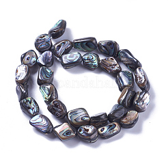 Fili di perline conchiglia naturale / conchiglia paua&nbsp;SSHEL-F303-08B