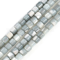 Coquille de trochid naturel / brins de perles de coquille de trocas&nbsp;SSHEL-N034-77-C01