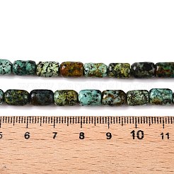 Natürliche afrikanische türkis (jasper) perlen stränge&nbsp;G-G980-33A