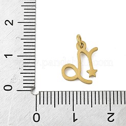 Anhänger aus chirurgischem Edelstahl 316l&nbsp;STAS-U058-01G-10