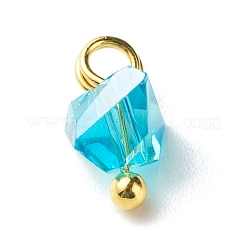 Glas Charms galvanisieren&nbsp;PALLOY-JF00821-03