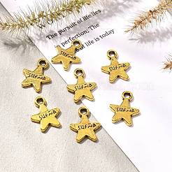 Charms in lega stile tibetano&nbsp;GLF9221Y