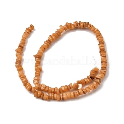 Shell perle naturali di acqua dolce&nbsp;SHEL-B003-01H