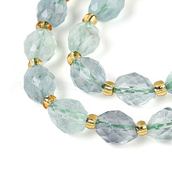 Verde naturale fluorite perline fili&nbsp;G-N342-35-8x6-12