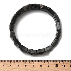 Stretch-Armbänder aus natürlichen Larvikitperlen für Frauen und Männer&nbsp;BJEW-C097-06-06