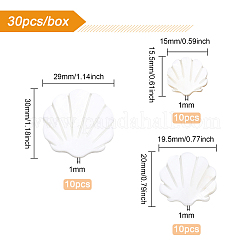 30 pz 3 dimensioni perline di conchiglia d'acqua dolce naturale&nbsp;SHEL-BC0001-008