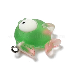 Pendenti in resina opaca&nbsp;X-RESI-D055-095P