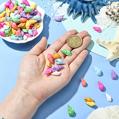500 Stück gefärbte natürliche Spril-Muschelperlen&nbsp;SSHEL-SC0001-33
