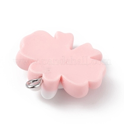 Pendentifs en résine opaque&nbsp;RESI-D064-02P-01