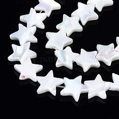 Fili di perle di conchiglia trochid naturale / trochus&nbsp;SSHEL-N034-96A-B01