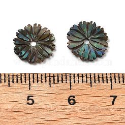 Natürliche geschnitzte Perlen aus Paua-Muschel&nbsp;SSHEL-Z002-04