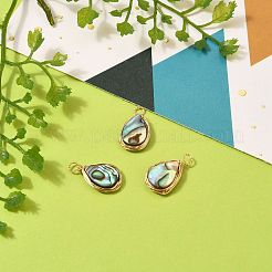 Natürliche Abalone Muschel / Paua Muschel Anhänger&nbsp;PALLOY-JF00475-01