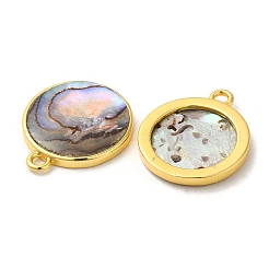 Natur Paua Muschel Anhänger&nbsp;KK-E059-12G