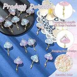 15 pièce en acrylique transparent 5 couleurs avec pendentifs en laiton&nbsp;PALLOY-CJ00191