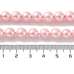 Shell-Perle Perle Stränge&nbsp;X-BSHE-L025-06-8mm