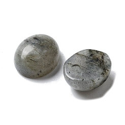 Natur Labradorit Cabochons&nbsp;G-G145-01A-61
