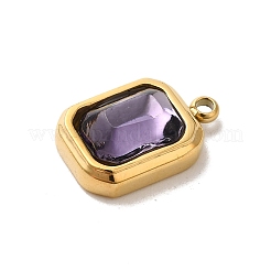 Pendentifs en verre en acier inoxydable 304 poli miroir&nbsp;STAS-L022-062G-03
