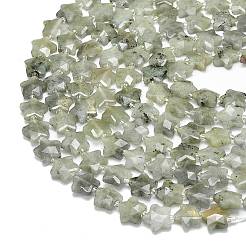 Natur Labradorit Perlen Stränge&nbsp;G-P573-C07-01