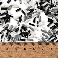 Backfarbe Glas Twist Signalhornperlen&nbsp;SEED-C004-02K