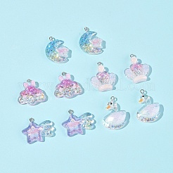 10pcs 5 Arten transparente Harzanhänger&nbsp;RESI-FS0002-08