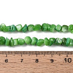 Natürlichen Süßwasser-Muschelperlen Stränge&nbsp;SHEL-N037-04J