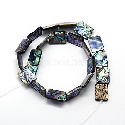 Naturelles Paua brins de perles&nbsp;SSHEL-J047-10A-01