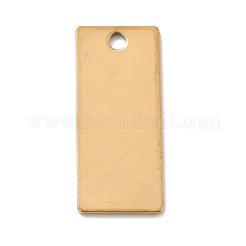 Placcatura ionica (ip) 201 ciondolo in acciaio inossidabile&nbsp;STAS-Z038-01G-B