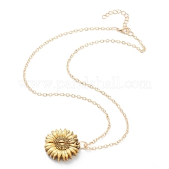 Colliers pendentifs en alliage ouvrable&nbsp;NJEW-M186-01AGP