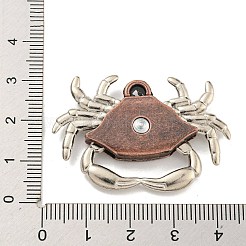 Tibetischer stil Aluminium Anhänger & Charms&nbsp;FIND-C052-20R